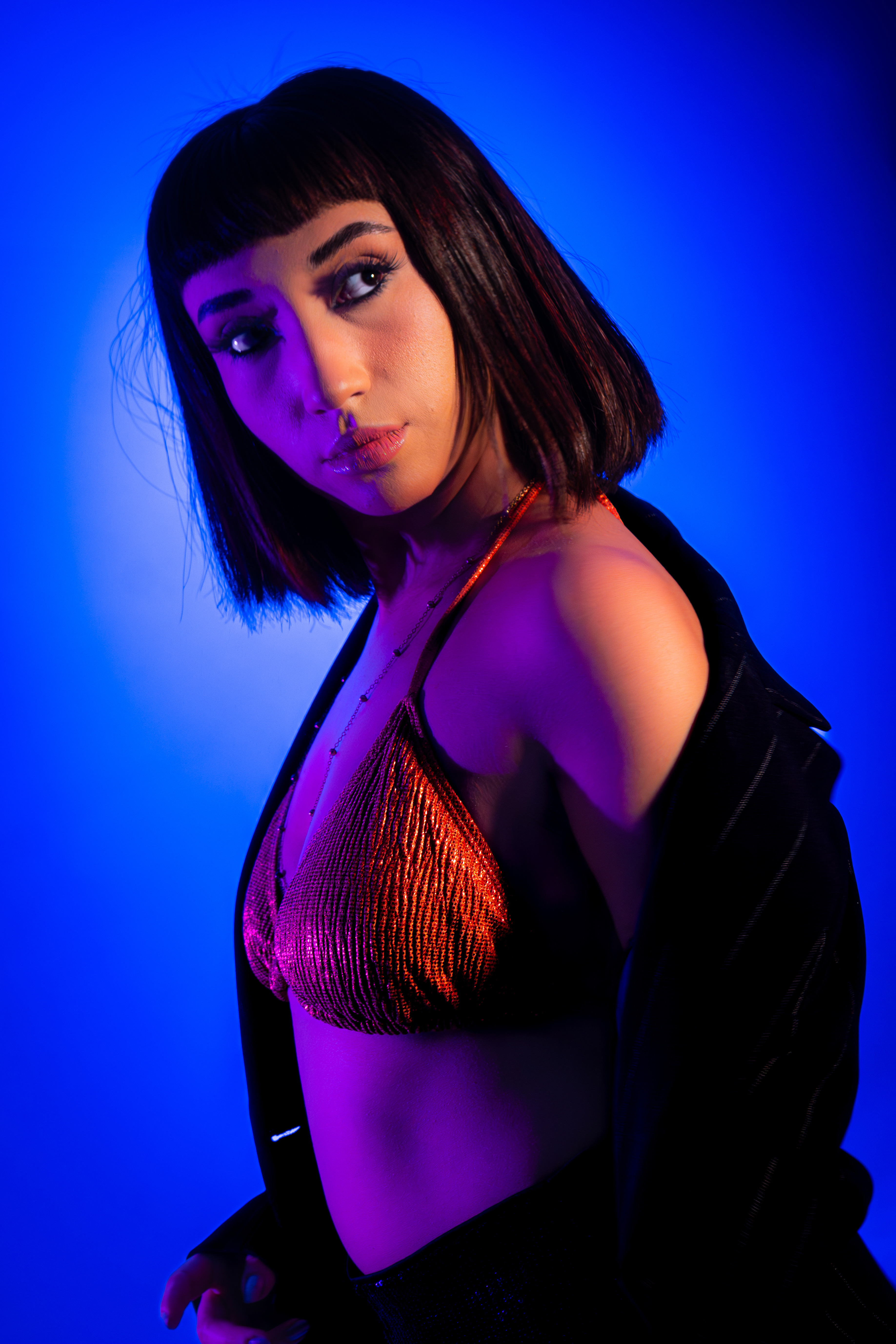 Descripción de la imagen 2